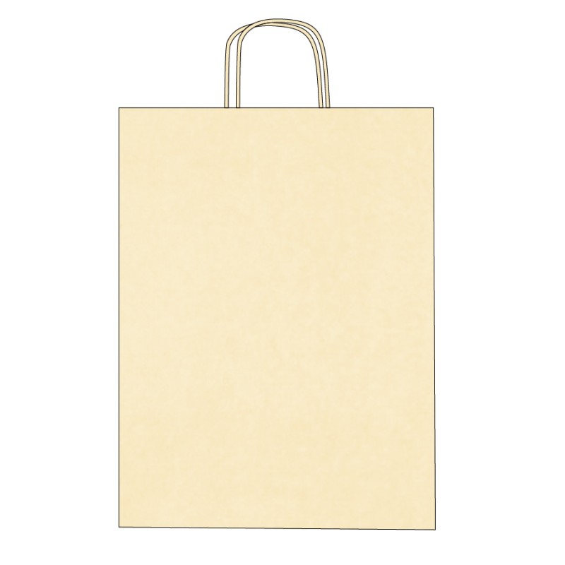 Sac papier personnalisable poignées torsadées