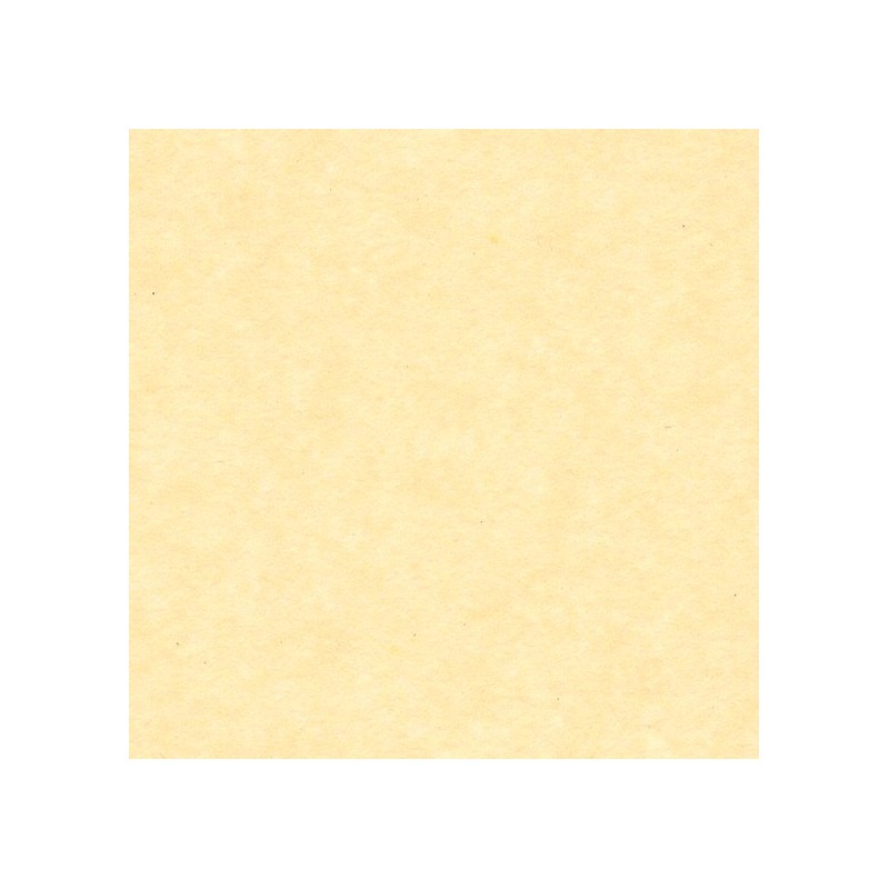 Papier de soie 50x75 cm, couleurs, 17g par feuille
