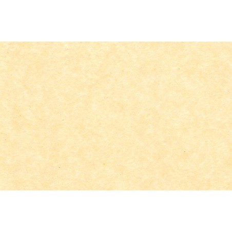 Papier de soie 50x75 cm, couleurs, 17g par feuille