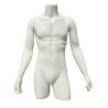 Buste Torso Homme avec bras blanc mat