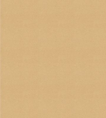 500 Étiquettes neutres support kraft rectangulaire