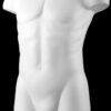 Buste torso homme blanc