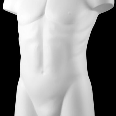 Buste torso homme blanc