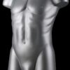 Buste torso homme gris champagne