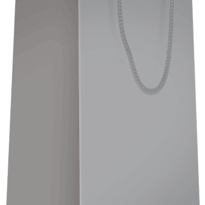 Sac bouteille Argent poignées cordelières L11xP11xH39cm x20