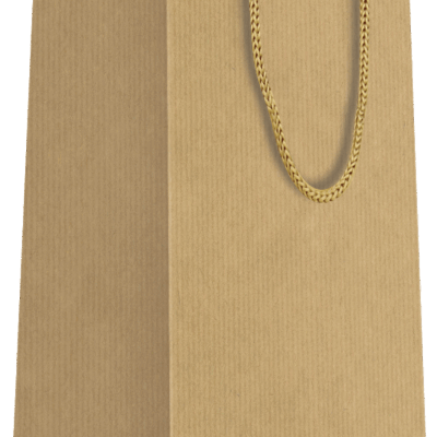 Sac bouteille Brun papier kraft L11xP11xH39cm x20