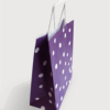 Sac papier kraft pois Aubergine L35xP14xH40 cm x50