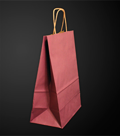 Sac papier kraft Prune L22xP10xH29 cm x50