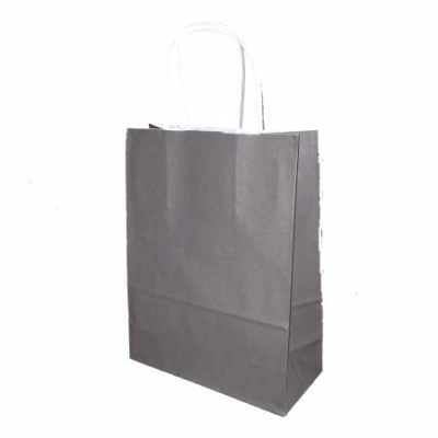 Sac papier kraft Taupe L18xP8xH24 cm x50