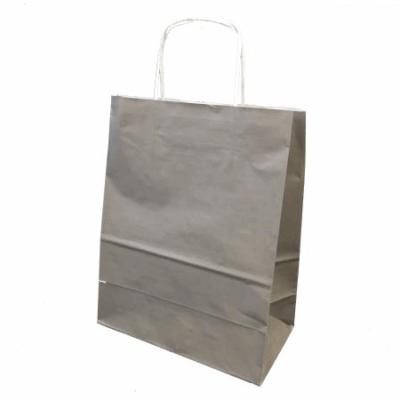 Sac papier kraft Taupe L24xP12xH31 cm x50