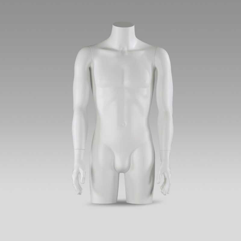 Buste Torso Homme Blanc avec bras
