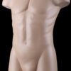 Buste torso homme coloris chair