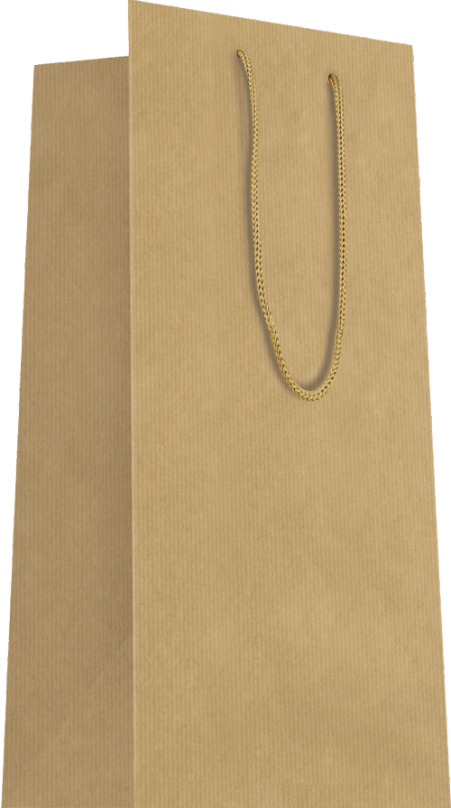 Sac 2 bouteilles Brun L22xP11xH39cm x20