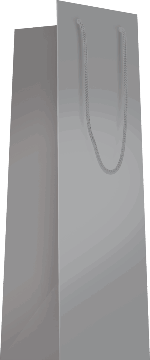 Sac bouteille Argent poignées cordelières L11xP11xH39cm x20
