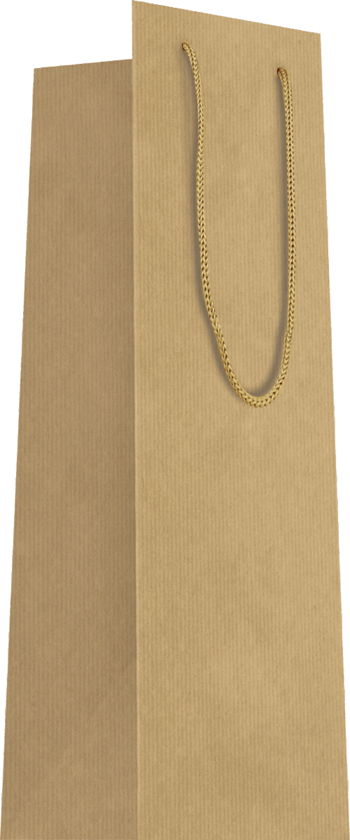 Sac bouteille Brun papier kraft L11xP11xH39cm x20