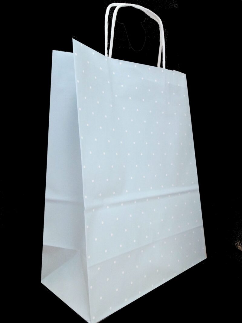 Sac papier kraft Authentique L24xP12xH31 cm x50 bleu