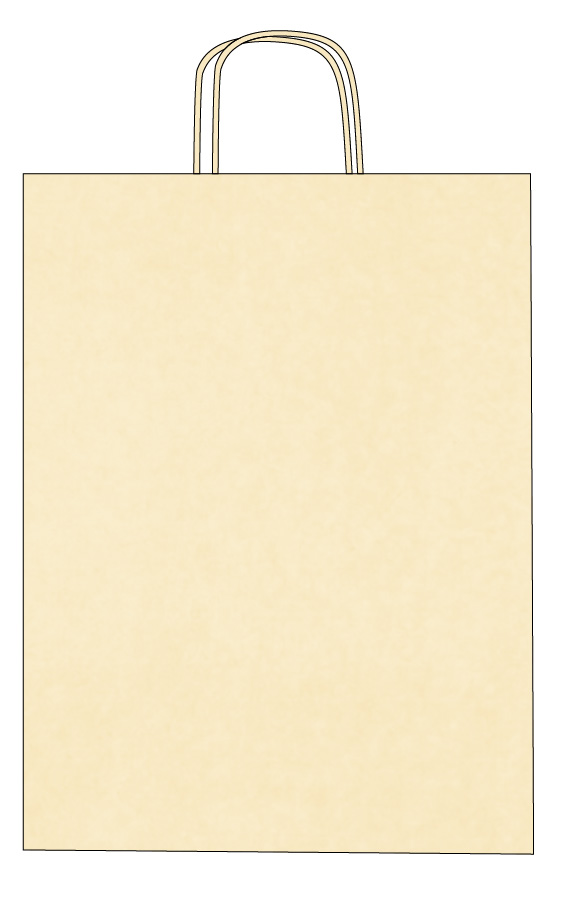 Sac papier kraft poignées torsadées personnalisable 1 couleur