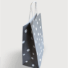 Sac papier kraft pois Taupe L24xP12xH31cm x50