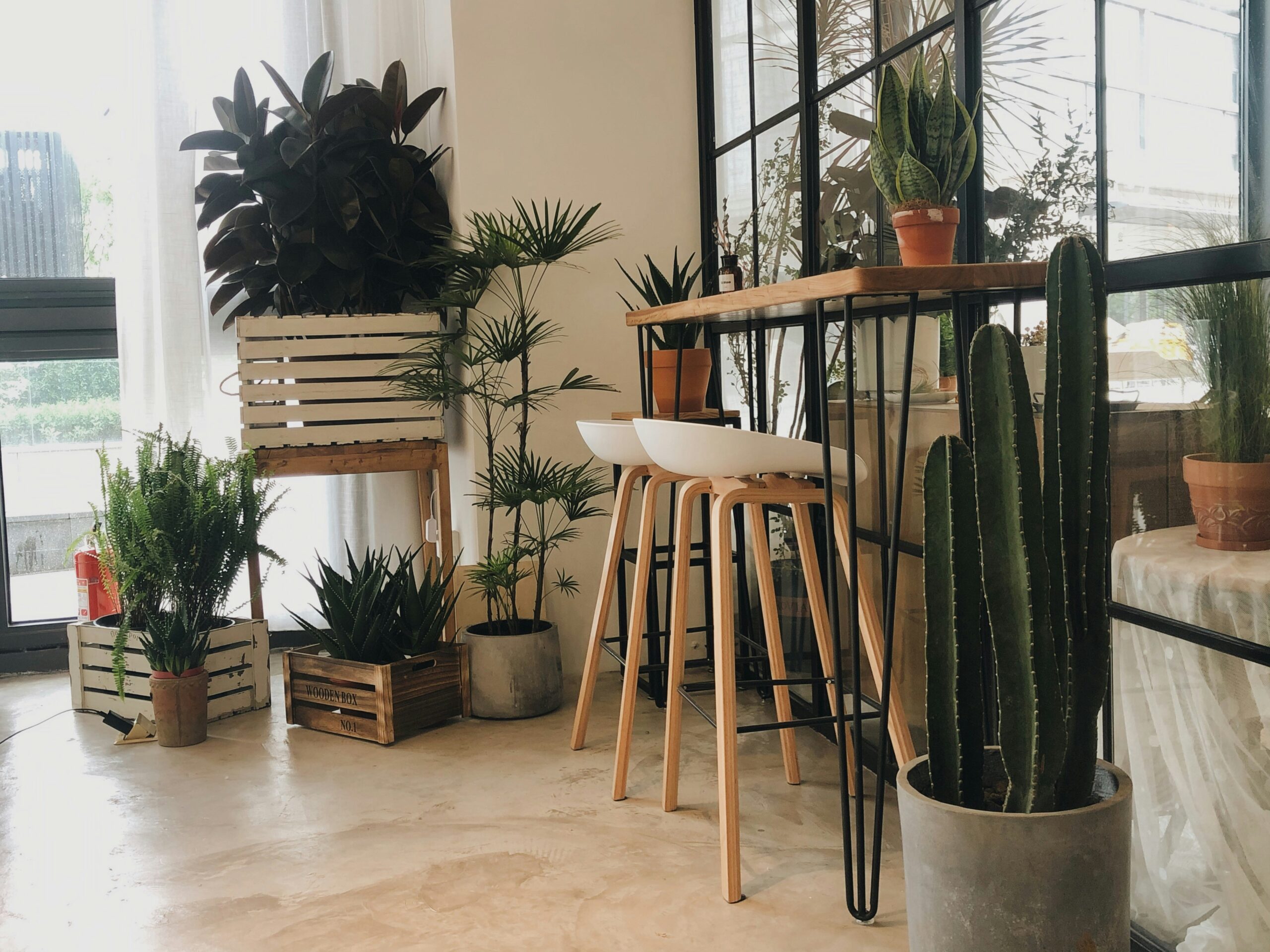 Espace de repos aménagé avec assises confortables et plantes d’intérieur pour ambiance naturelle