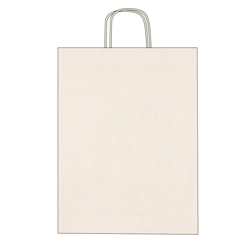 Sac papier kraft poignées torsadées personnalisable 1 couleur